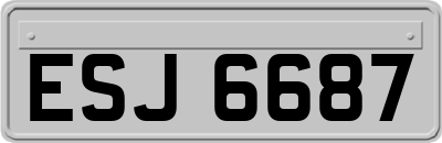 ESJ6687