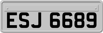 ESJ6689