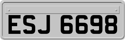 ESJ6698