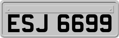 ESJ6699