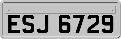 ESJ6729