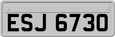 ESJ6730