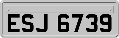 ESJ6739