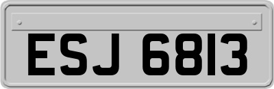 ESJ6813