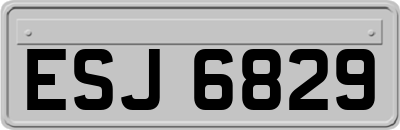 ESJ6829