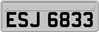 ESJ6833