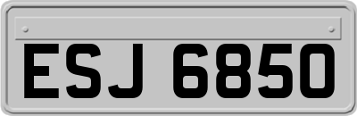 ESJ6850