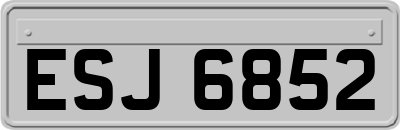 ESJ6852