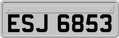 ESJ6853