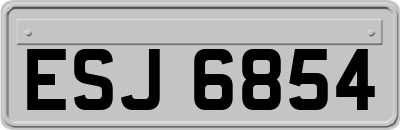 ESJ6854