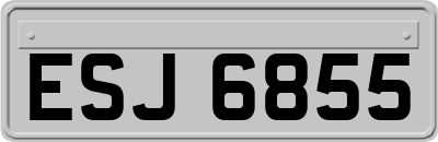 ESJ6855