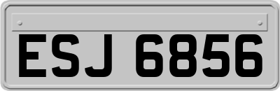 ESJ6856