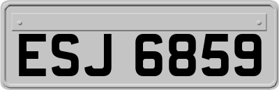 ESJ6859