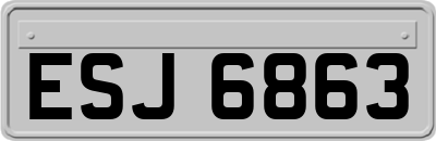 ESJ6863