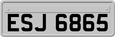 ESJ6865