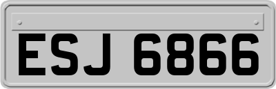 ESJ6866