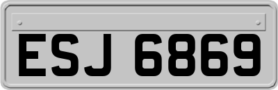ESJ6869