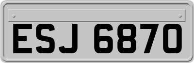 ESJ6870