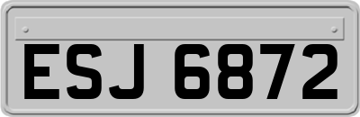 ESJ6872