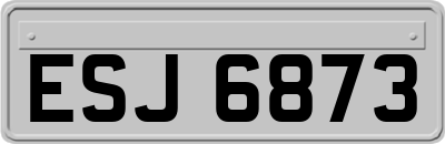 ESJ6873