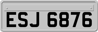 ESJ6876