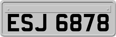 ESJ6878