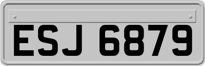 ESJ6879