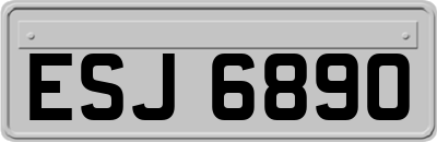 ESJ6890