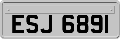 ESJ6891
