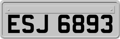 ESJ6893