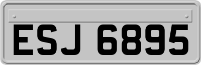 ESJ6895
