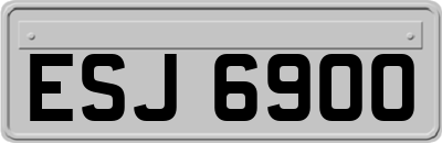 ESJ6900