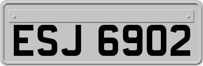 ESJ6902