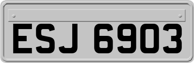 ESJ6903