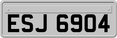 ESJ6904