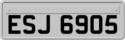 ESJ6905