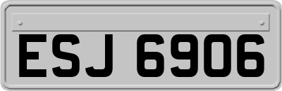 ESJ6906