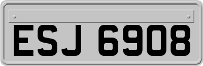 ESJ6908