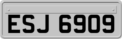 ESJ6909