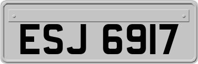 ESJ6917