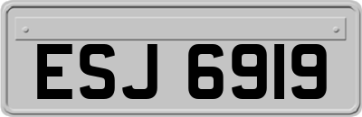ESJ6919