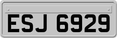 ESJ6929