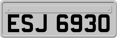 ESJ6930
