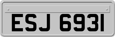 ESJ6931
