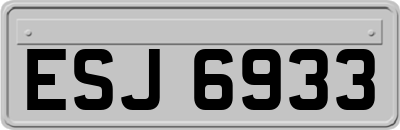 ESJ6933
