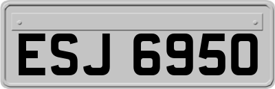 ESJ6950