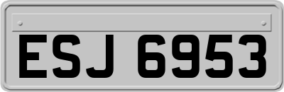 ESJ6953