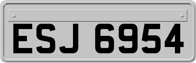 ESJ6954