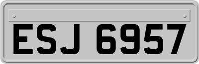 ESJ6957