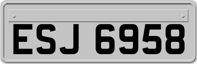ESJ6958